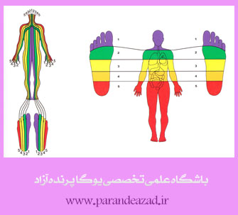 ,yoga,یوگا,یوگا کرج,یوگا استان البرز,کلاس یوگا,مرکز تخصصی یوگا,باشگاه نمونه یوگا,رفلکسولوژی,بازتاب درمانی,بازتاب شناسی,درمانهای شفابخض,طب کل نگر,درمانهای نامتعارف,باشگاه تخصصی یوگا پرنده آزاد کرج, ,yoga,یوگا,یوگا کرج,یوگا استان البرز,کلاس یوگا,مرکز تخصصی یوگا,باشگاه نمونه یوگا,رفلکسولوژی,بازتاب درمانی,بازتاب شناسی,درمانهای شفابخض,طب کل نگر,درمانهای نامتعارف,باشگاه تخصصی یوگا پرنده آزاد کرج,